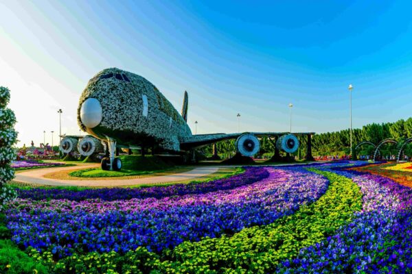 The beauty of the Dubai Miracle Garden